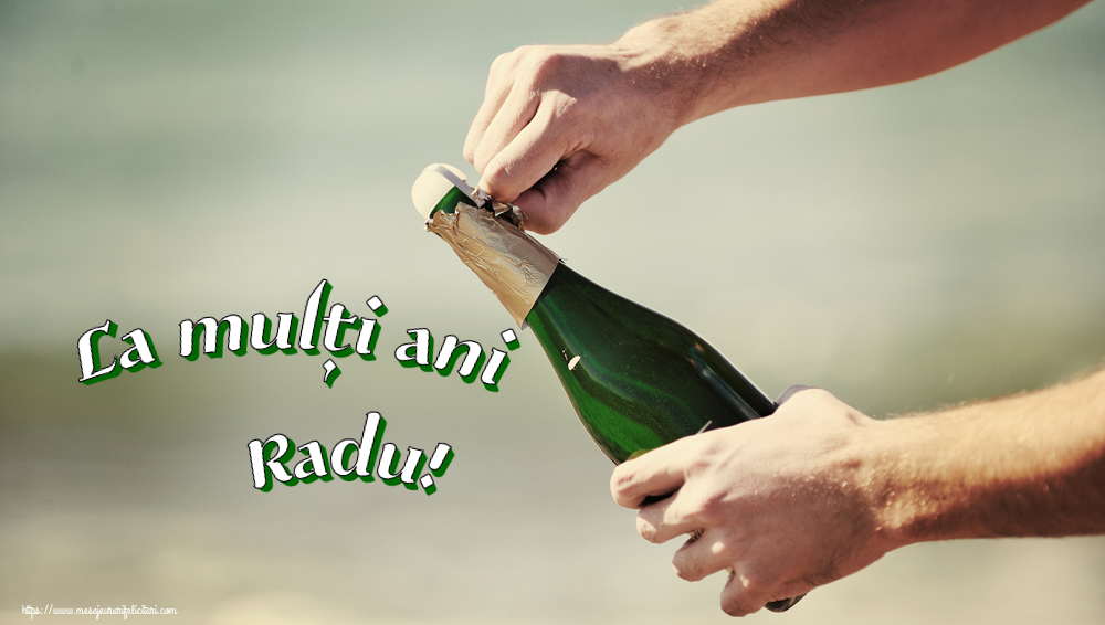 Felicitari de la multi ani - La mulți ani Radu! ~ pentru barbati