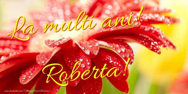 Felicitari de la multi ani - Flori | La multi ani! Roberta