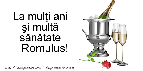 Felicitari de la multi ani - Sampanie | La multi ani si multa sanatate Romulus!