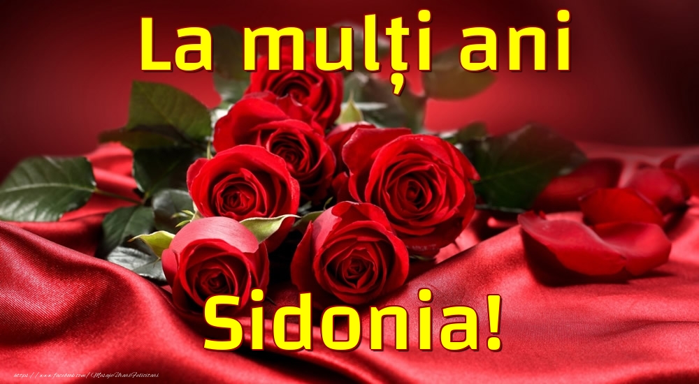 Felicitari de la multi ani - Trandafiri | La mulți ani Sidonia!