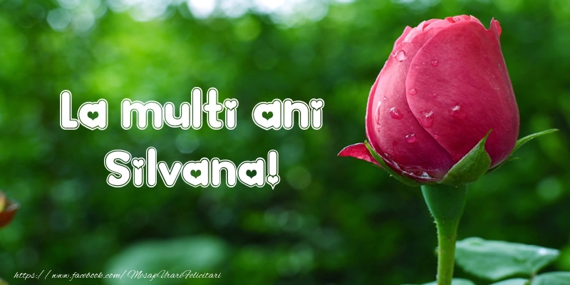 Felicitari de la multi ani - Flori & Lalele | La multi ani Silvana!