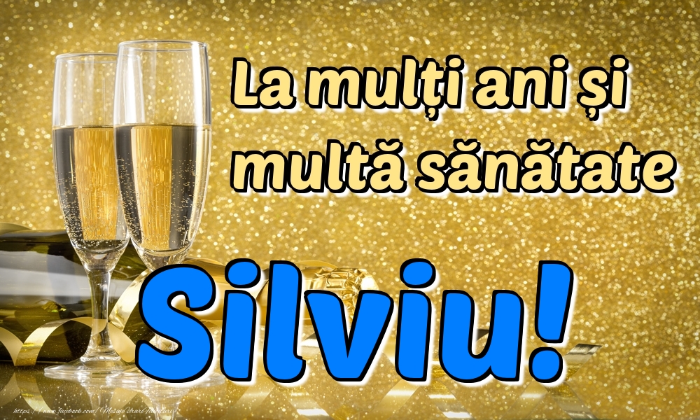  Felicitari de la multi ani - La mulți ani multă sănătate Silviu!