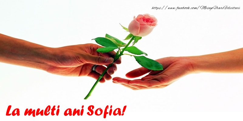 Felicitari de la multi ani - Flori & Trandafiri | La multi ani Sofia!