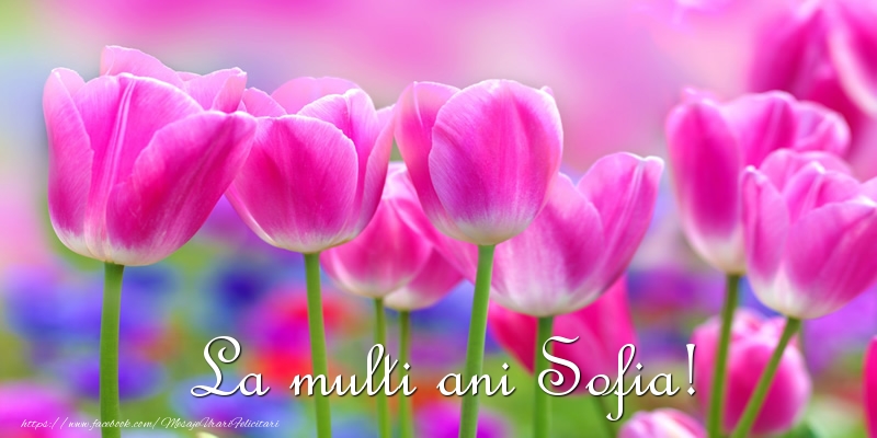 Felicitari de la multi ani - Flori & Lalele | La multi ani Sofia!