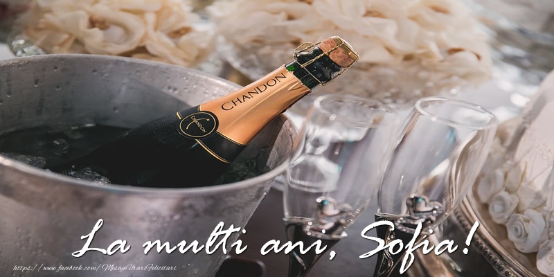 Felicitari de la multi ani - Sampanie | La multi ani, Sofia!