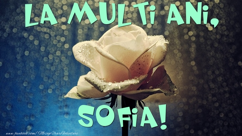 Felicitari de la multi ani - Flori & Trandafiri | La multi ani, Sofia