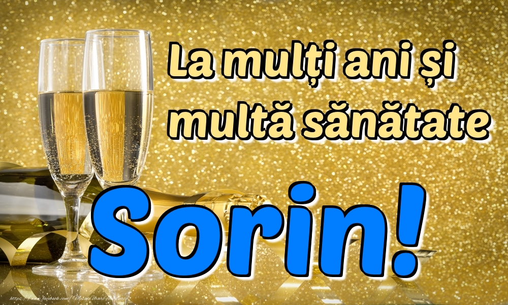 Felicitari de la multi ani - La mulți ani multă sănătate Sorin!