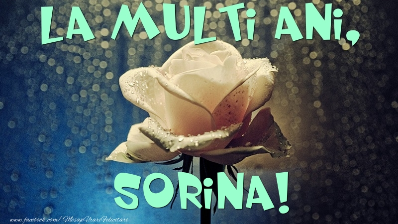 Felicitari de la multi ani - Flori & Trandafiri | La multi ani, Sorina