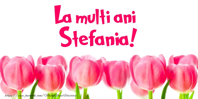  Felicitari de la multi ani - Flori & Lalele | La multi ani Stefania!