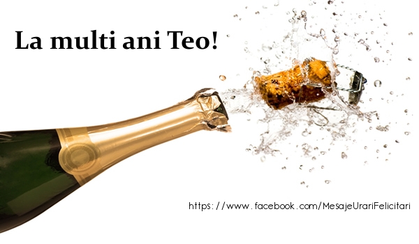 Felicitari de la multi ani - Sampanie | La multi ani Teo!