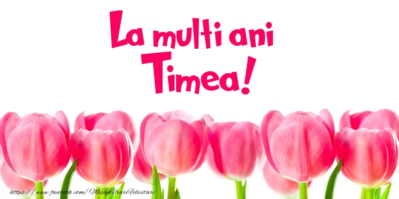 Felicitari de la multi ani - Flori & Lalele | La multi ani Timea!
