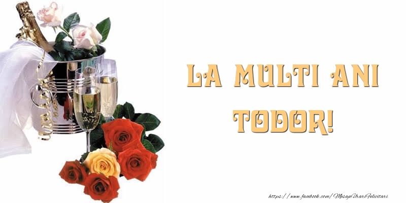 Felicitari de la multi ani - Flori & Sampanie | La multi ani Todor!