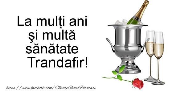 Felicitari de la multi ani - Sampanie | La multi ani si multa sanatate Trandafir!