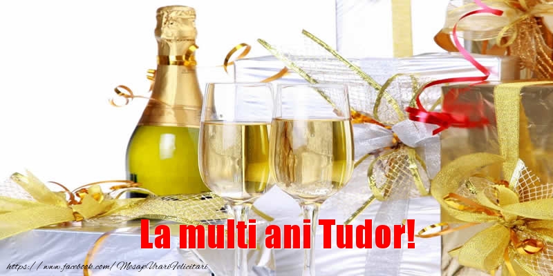 Felicitari de la multi ani - Sampanie | La multi ani Tudor!