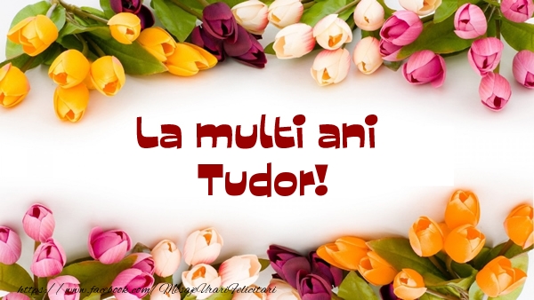 Felicitari de la multi ani - Flori | La multi ani Tudor!