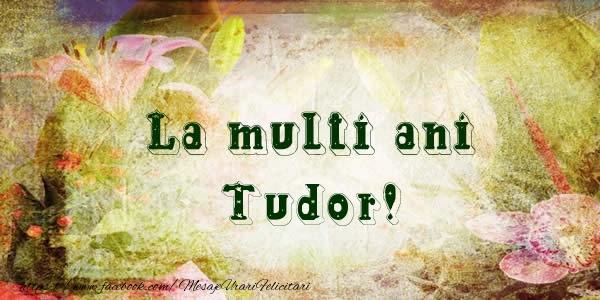 Felicitari de la multi ani - Flori | La multi ani Tudor!