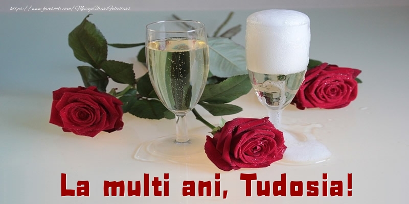 Felicitari de la multi ani - La multi ani, Tudosia!