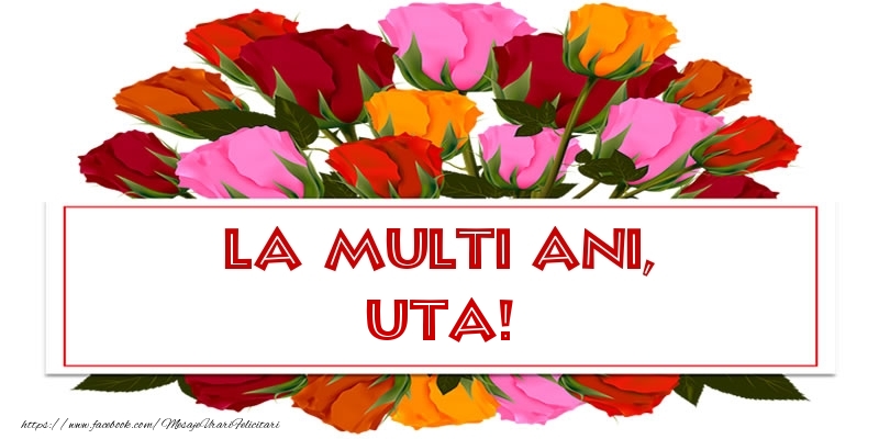 Felicitari de la multi ani - La multi ani, Uta!