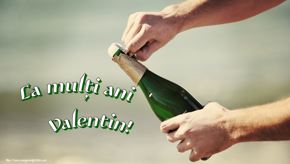 Felicitari de la multi ani - Sampanie & Bărbați & Domni | La mulți ani Valentin! ~ pentru barbati