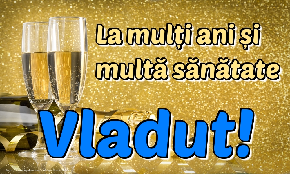 Felicitari de la multi ani - La mulți ani multă sănătate Vladut!