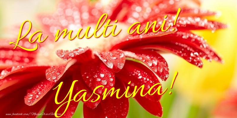 Felicitari de la multi ani - La multi ani! Yasmina