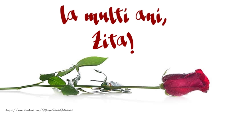Felicitari de la multi ani - Flori & Trandafiri | La multi ani, Zita!