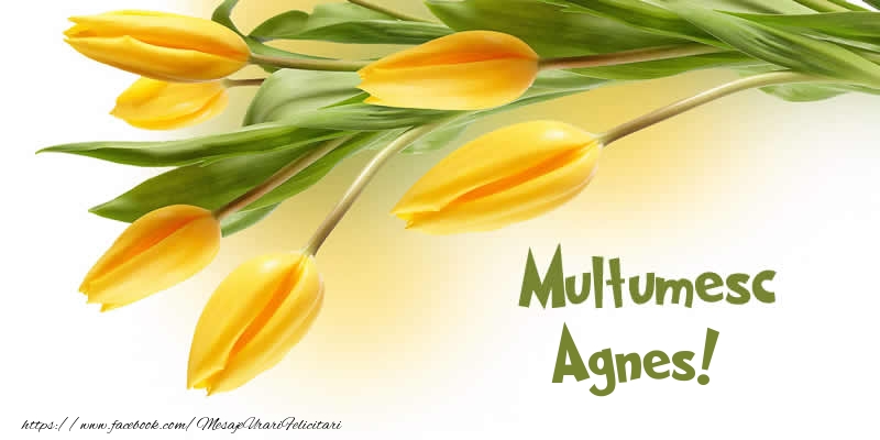 Felicitari de multumire - Lalele | Multumesc Agnes!