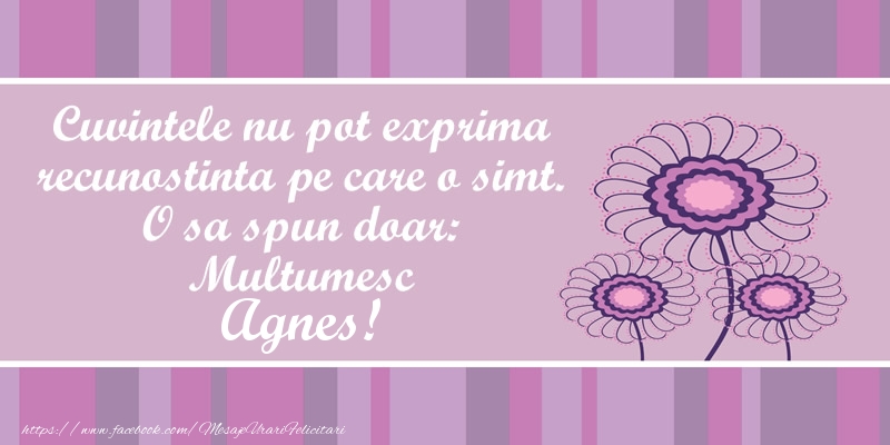 Felicitari de multumire - Cuvintele nu pot exprima recunostinta pe care o simt. O sa spun doar:  Multumesc Agnes!