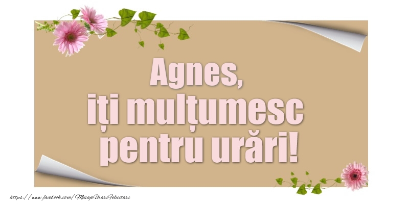 Felicitari de multumire - Agnes, iți mulțumesc pentru urări!