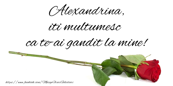Felicitari de multumire - Trandafiri | Alexandrina iti multumesc ca te-ai gandit la mine!