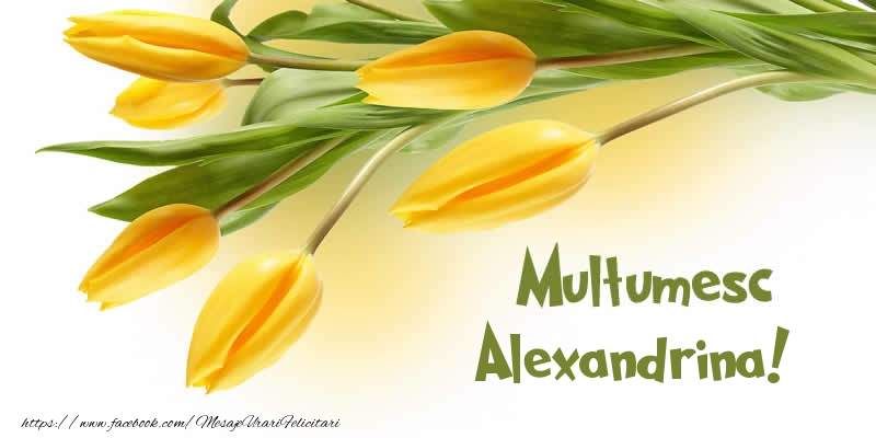 Felicitari de multumire - Multumesc Alexandrina!