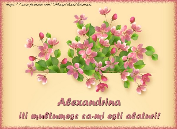 Felicitari de multumire - Alexandrina, iti multumesc ca-mi esti alaturi!