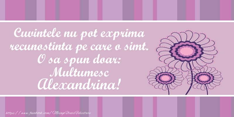 Felicitari de multumire - Cuvintele nu pot exprima recunostinta pe care o simt. O sa spun doar:  Multumesc Alexandrina!