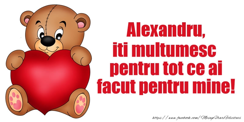Felicitari de multumire - Ursuleti | Alexandru iti multumesc pentru tot ce ai facut pentru mine!