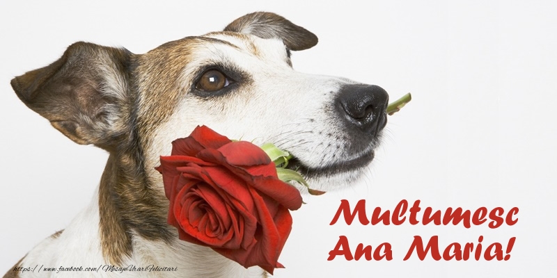 Felicitari de multumire - Multumesc Ana Maria!