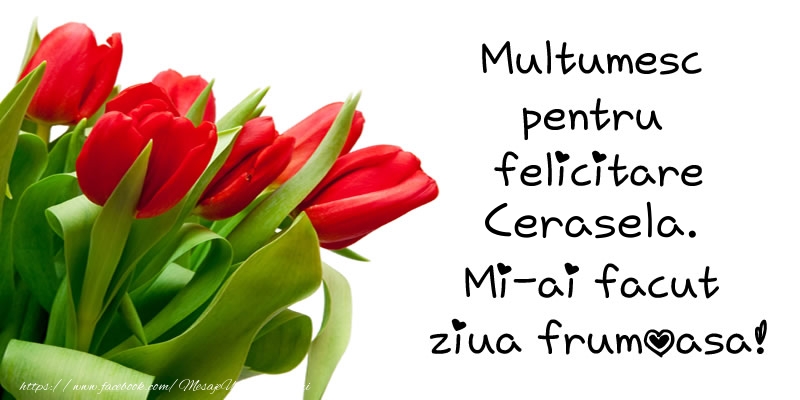 Felicitari de multumire - Lalele | Multumesc pentru  felicitare Cerasela! Mi-ai facut  ziua frumoasa!