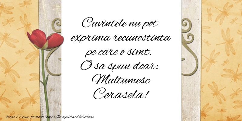 Felicitari de multumire - Flori | Cuvintele nu pot exprima recunostinta pe care o simt. O sa spun doar:  Multumesc Cerasela!
