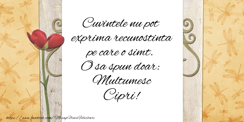 Felicitari de multumire - Flori | Cuvintele nu pot exprima recunostinta pe care o simt. O sa spun doar:  Multumesc Cipri!