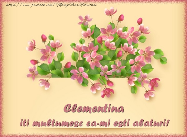 Felicitari de multumire - Flori | Clementina, iti multumesc ca-mi esti alaturi!