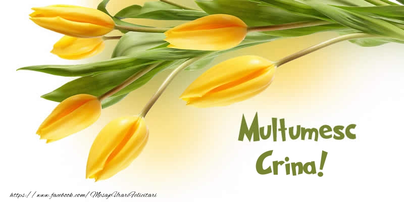Felicitari de multumire - Lalele | Multumesc Crina!