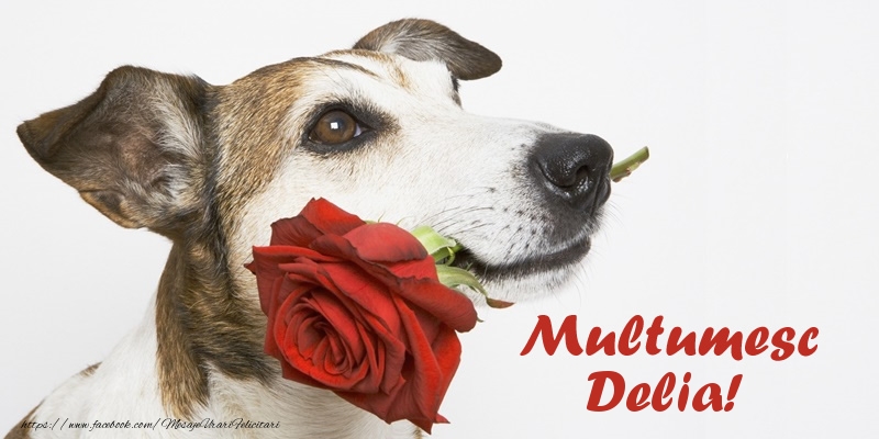 Felicitari de multumire - Multumesc Delia!