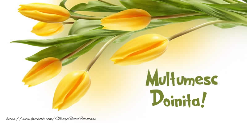 Felicitari de multumire - Lalele | Multumesc Doinita!