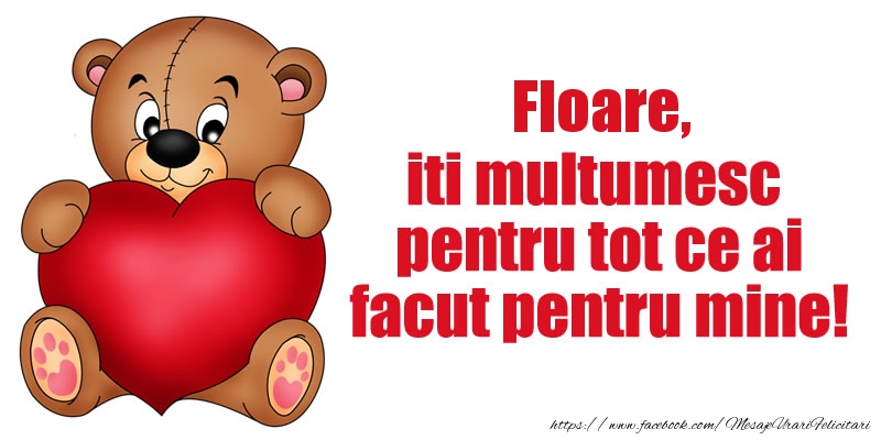 Felicitari de multumire - Ursuleti | Floare iti multumesc pentru tot ce ai facut pentru mine!