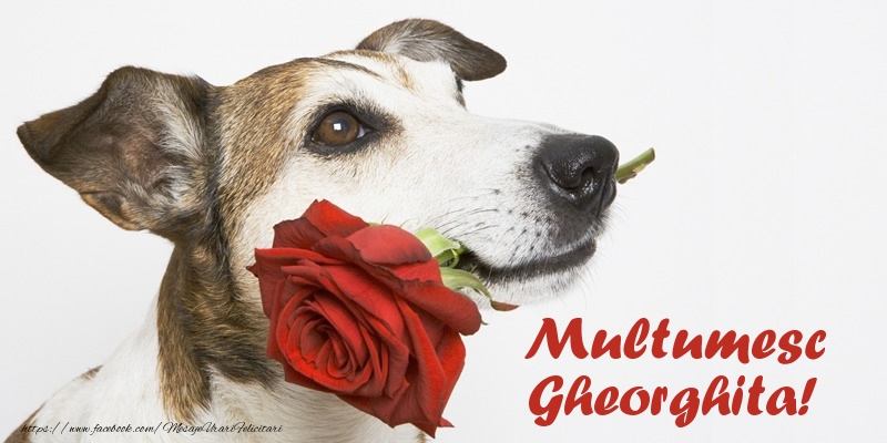 Felicitari de multumire - Multumesc Gheorghita!