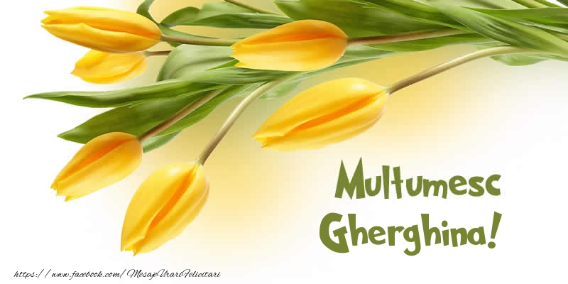 Felicitari de multumire - Lalele | Multumesc Gherghina!