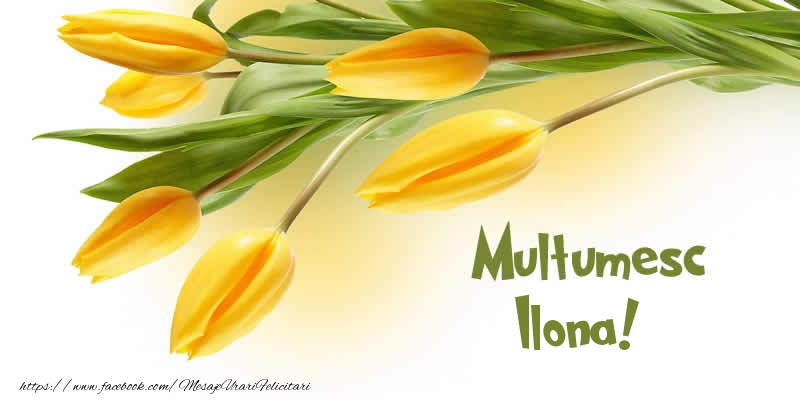 Felicitari de multumire - Lalele | Multumesc Ilona!