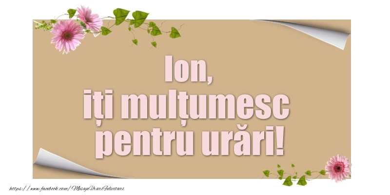 Felicitari de multumire - Flori | Ion, iți mulțumesc pentru urări!