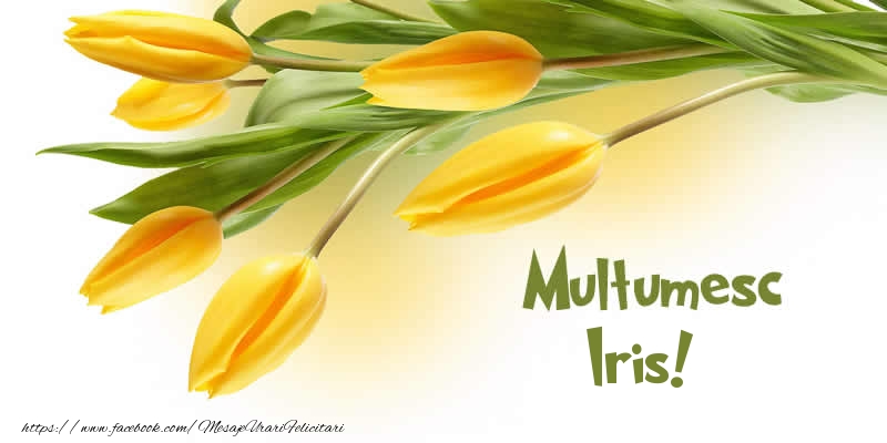 Felicitari de multumire - Multumesc Iris!