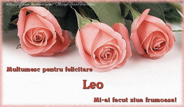 Felicitari de multumire - Multumesc pentru felicitare Leo! Mi-ai facut ziua frumoasa!