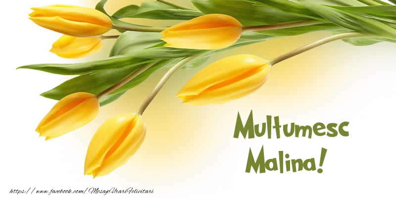 Felicitari de multumire - Lalele | Multumesc Malina!